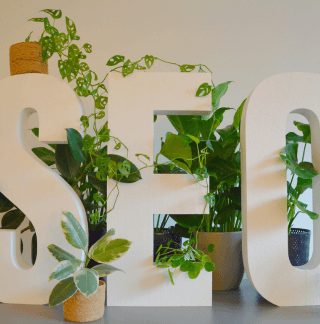 Search Engine Optimization